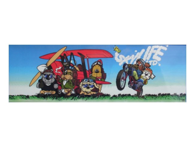 楽天市場】ソンジェ from 超新星／ユメノカイカ 〜夢が夢で