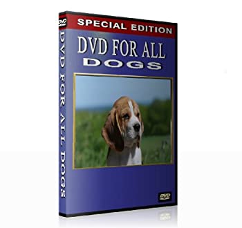 【中古】【輸入品・未使用】DVD for all Dogs (When you are not at home)｜スカイマーケットプラス