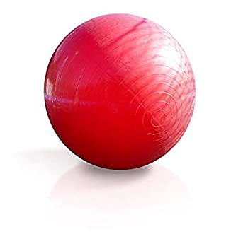 【中古】【輸入品・未使用】JumpSport 巨大なファンボール レッド｜スカイマーケットプラス