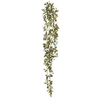 【中古】【輸入品・未使用】Vickerman FB171101 ハンギング ワンダリングジュー