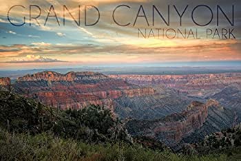 【中古】【輸入品・未使用】グランドキャニオン国立公園、アリゾナ州???Hazy Canyon View 9 x 12 Art Print LANT-56620-9x12
