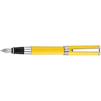 【中古】【輸入品・未使用】Faber Castell Ambition ココナッツ万年筆 中字|スカイマーケットプラス