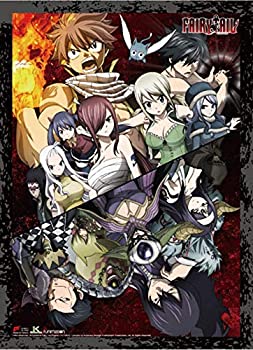 【中古】【輸入品・未使用】Fairy Tail 86871 ウォールスクロール ポスター マルチカラー画像