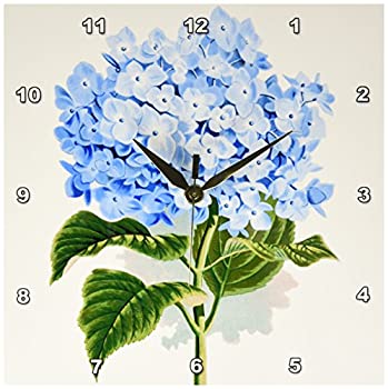 【中古】【輸入品・未使用】3dRose dpp_151419_1 青アジサイの花 ビンテージアート-花柄図面-夏-花 春-アンティークイメージ壁掛け時計、25.48 x 25.48cm