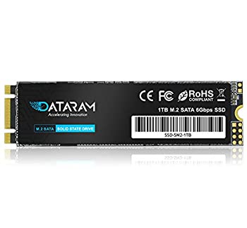 【中古】【輸入品・未使用】DATARAM SATA-III M.2 2280 内蔵SSD ソリッドステートドライブ 高性能デスクトップPC/ノートパソコン用 (1TB)