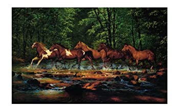 【中古】【インポート品・未当てはめる】York Wallcoverings wl5531mlm Running馬壁画、 WL5531MLM 1