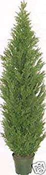 【中古】【輸入品・未使用】1つ5足人工トピアリーCedarツリーPottedインドアアウトドアPlant