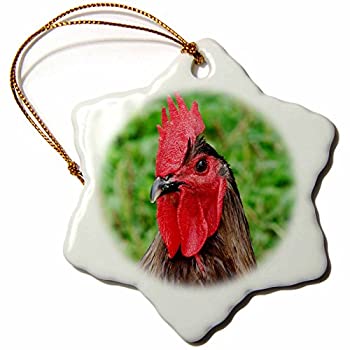 【中古】【輸入品・未使用】3drose Orn _ 8467?_ 1ブルーRooster by Angelandspot磁器スノーフレークオーナメント、3-inch