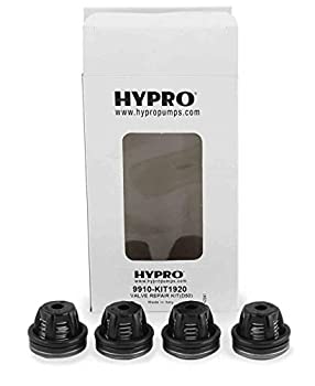 【中古】【輸入品・未使用】Hypro 9910?kit1920バルブd50