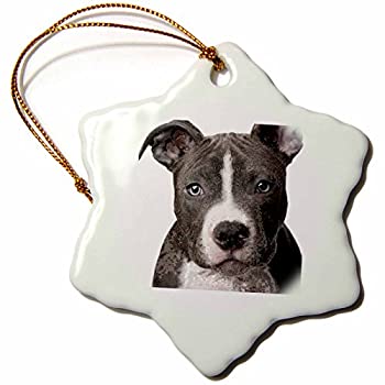【中古】【輸入品・未使用】3drose American Pit Bull Terrier 子犬 雪の結晶 磁器オーナメント 3インチ｜スカイマーケットプラス