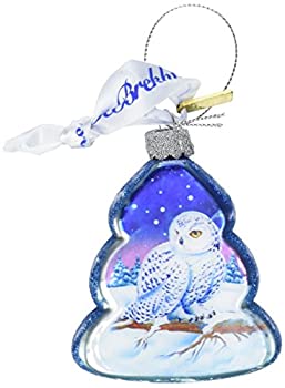 【中古】【輸入品・未使用】G. Debrekht フクロウガラスオーナメント