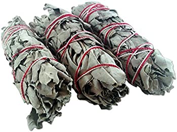 【中古】【輸入品・未使用】4?xホワイトセージスマッジSticks???3?Pack of 4?%ﾀﾞﾌﾞﾙｸｫｰﾃ% Sticks