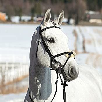 【中古】【インポート品・未当て嵌める】Horze Nevada Bridle