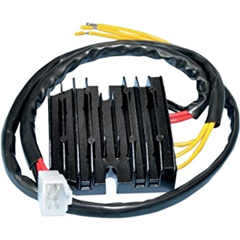【中古】【輸入品・未使用】RicksモータースポーツElectric整流器/レギュレータ10???100?A|スカイマーケットプラス