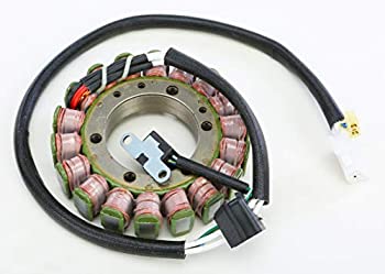 【中古】【輸入品・未使用】RicksモータースポーツElectric Stator 21???311h