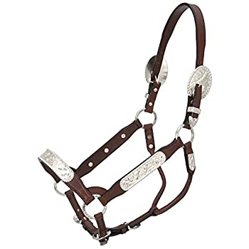 【中古】【輸入品・未使用】Royal King Congress Showホルター｜スカイマーケットプラス