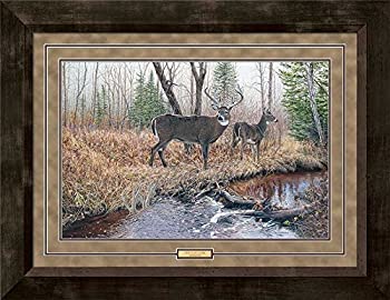 【中古】【インポート品・未当て嵌める】The Survivor???WTD Framed Limited Edition刷り上げるby Jim Kasper