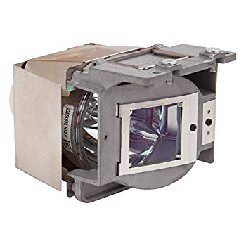 【中古】【インポート品・未当て嵌める】ViewSonic PRO AV Replacement Lamp