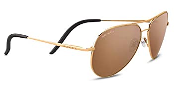 アイルトンセナ使用モデル　BOSS Carrera ラウンド型サングラス アイルトンセナ使用モデル BOSS Carrera ラウンド型サングラス
