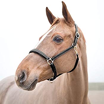 【中古】【輸入品・未使用】(Black%ｶﾝﾏ% XF) - Horze Largo Leather Halter 25,831円