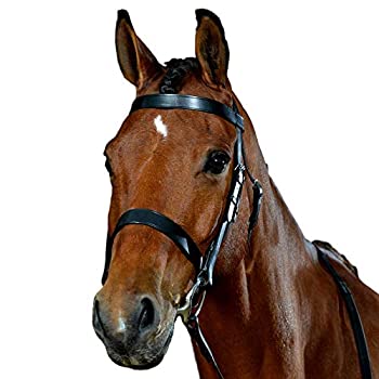 【中古】【インポート品・未当て嵌める】Collegiate狩りCavesson Bridle Cob 赤銅色