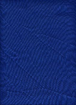 【中古】【輸入品・未使用】PromasterソリッドBackdrop 10?' x12?'???Chromakeyブルー画像