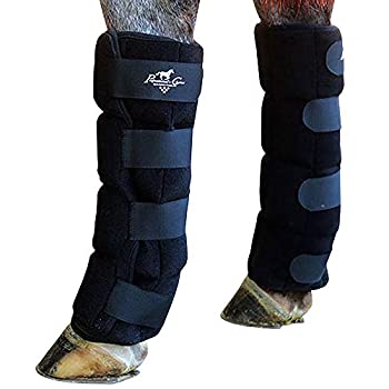 【中古】【インポート品・未当て嵌める】Professional\u0027s Choice 内燃機関ブーツ L大きさ
