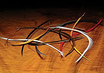 【中古】【輸入品・未使用】Hareline Stripped Goose Biots