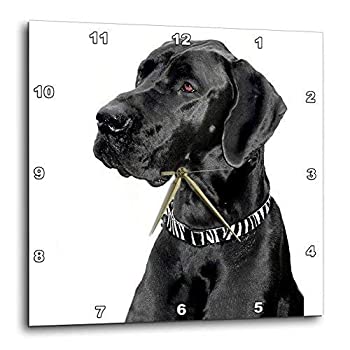 【中古】【輸入品・未使用】3dRose LLC ブラックグレートデーン 10×10インチ 壁掛け時計|スカイマーケットプラス