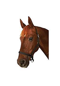 【中古】【輸入品・未使用】Roma Everydayホルターパープルフル