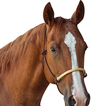【中古】【輸入品・未使用】クラシックロープ会社Braided Rawhide Noseband Halter with 8足リードロープSolidBrown