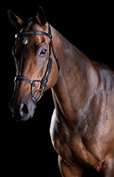 【中古】【輸入品・未使用】Weatherbeeta Collegiate comfitec Fancy Stitch Bridle Cob ブラック