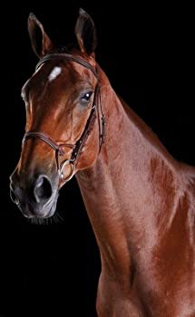 【中古】【輸入品・未使用】Weatherbeeta Collegiate comfitec Fancy Stitch Bridle Cob ブラウン