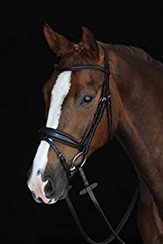 【中古】【輸入品・未使用】Weatherbeeta Collegiate Monoクラウンパッド入りRaisedフラッシュBridle フル ブラウン