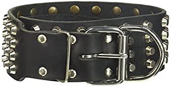 【中古】【輸入品・未使用】Dean & Tyler犬用首輪%ﾀﾞﾌﾞﾙｸｫｰﾃ%･スタッド%ﾀﾞﾌﾞﾙｸｫｰﾃ%ッパ製のハイクオリティーレザー使用!-ニッケルスタッド付きエキストラワイド首輪Lサイズ