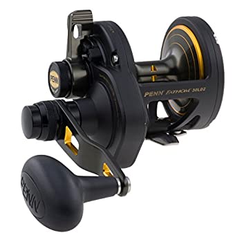 【中古】【インポート品・未当て嵌める】書き込み (Penn) 木管 Fathom Lever Drag 2 Speed (ファゾム 気泡管水準器 薬物 2 素早さ) ベイトリール FTH30LD2 30 [並行輸入品]