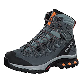 【中古】【インポート品・未当て嵌める】Salomon (サロモン) レディース Quest 4d 3 GTX うしろ側容器に並べる旅する用ブーツ%ｶﾝﾏ% 鉛/嵐の天気模様/エデンの園の鳥%ｶﾝﾏ% 11