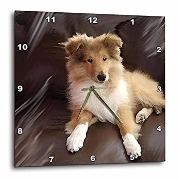 【中古】【輸入品・未使用】3dRose dpp_4546_2 Rough Collie 子犬壁掛け時計 13 x 13インチ|スカイマーケットプラス