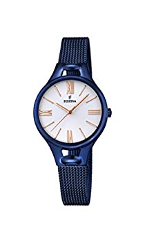 【中古】【インポート品・未当て嵌める】Festina Klassik f16953?/ 1ウオッチの亭主もちひな形見どころ