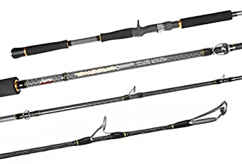【中古】【インポート品・未当て嵌める】Jigging World Shogun Conventional Jigging極点