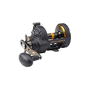 【中古】【インポート品・未当て嵌める】Penn Fathom II Star Drag 過ぎ来し方のフィッシングリール 黒いことゴールド