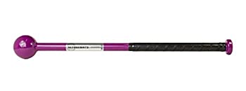 【中古】【インポート品・未当てはめる】Sledgebats SB-23 形づくる野球バット