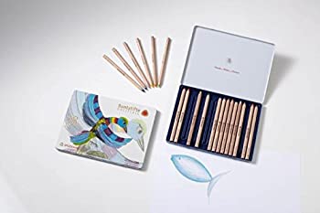 【中古】【輸入品・未使用】Stockmar 色鉛筆 三角形 18色 + グラファイト鉛筆1本