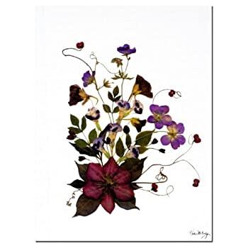 【中古】【輸入品・未使用】Trademark Art Going Wild by Kathie McCurdy キャンバスウォールアート 14 by 19-Inch KM069-C1419GG 25,515円