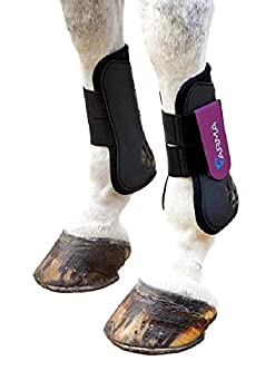 【中古】【輸入品・未使用】Shires Arma腱Bootフルサイズブラック/パープル