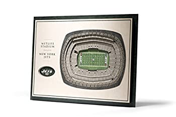 【中古】【輸入品・未使用】YouTheFan NFL 5層 17 x 13 スタジアムビュー 3D ウォールアート