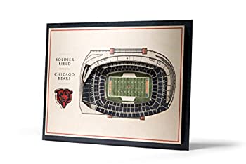 【中古】【輸入品・未使用】YouTheFan NFL 5層 17 x 13 スタジアムビュー 3D ウォールアート