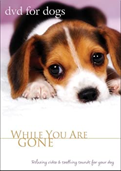 【中古】【輸入品・未使用】DVD For Dogs : While You Are Gone｜スカイマーケットプラス