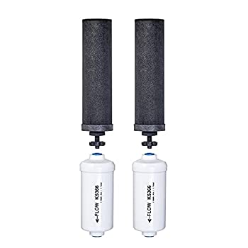 【中古】【輸入品・未使用】Black Berkey Replacement Filters & Fluoride Filters Combo Pack - Includes 2 Black Filters and 2 Fluoride Filters by Berkey｜スカイマーケットプラス