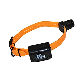 【中古】【輸入品・未使用】DT Systems R.A.P.T. 1450 ADDON-O Add on Beeper Collar Receiver, Orange｜スカイマーケットプラス